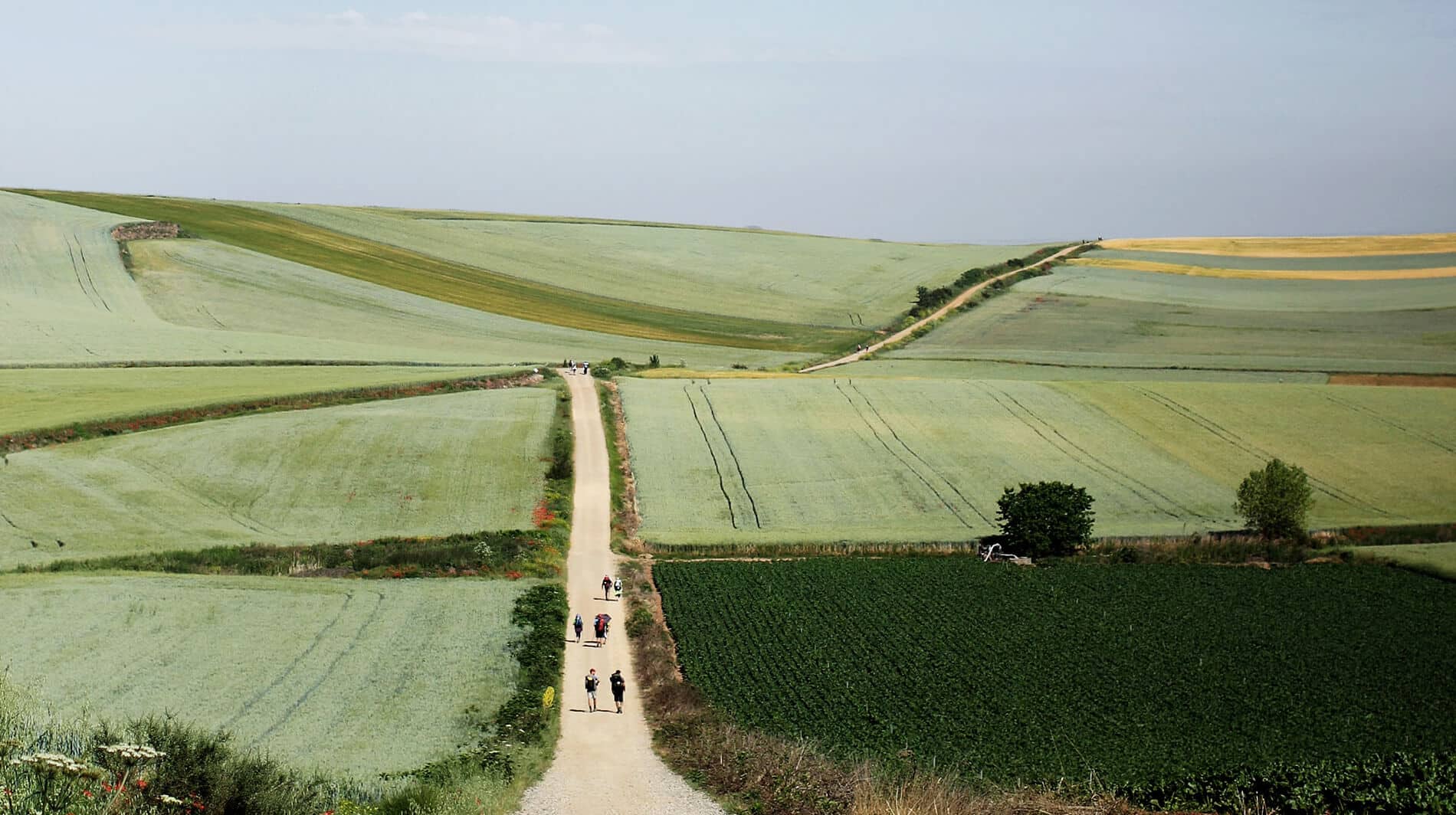 Preparación Camino de Santiago
