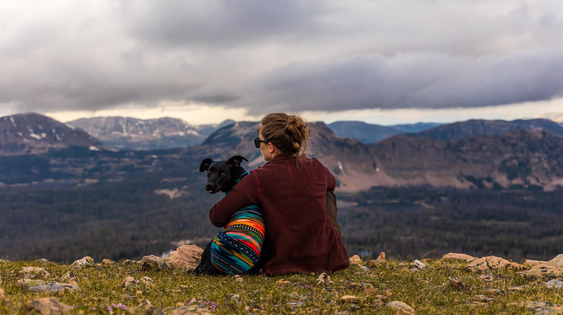 Perros y Montaña Consejos