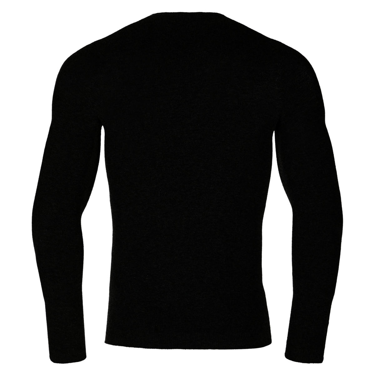 Wool30 Fuse Camiseta Manga Larga La Sportiva