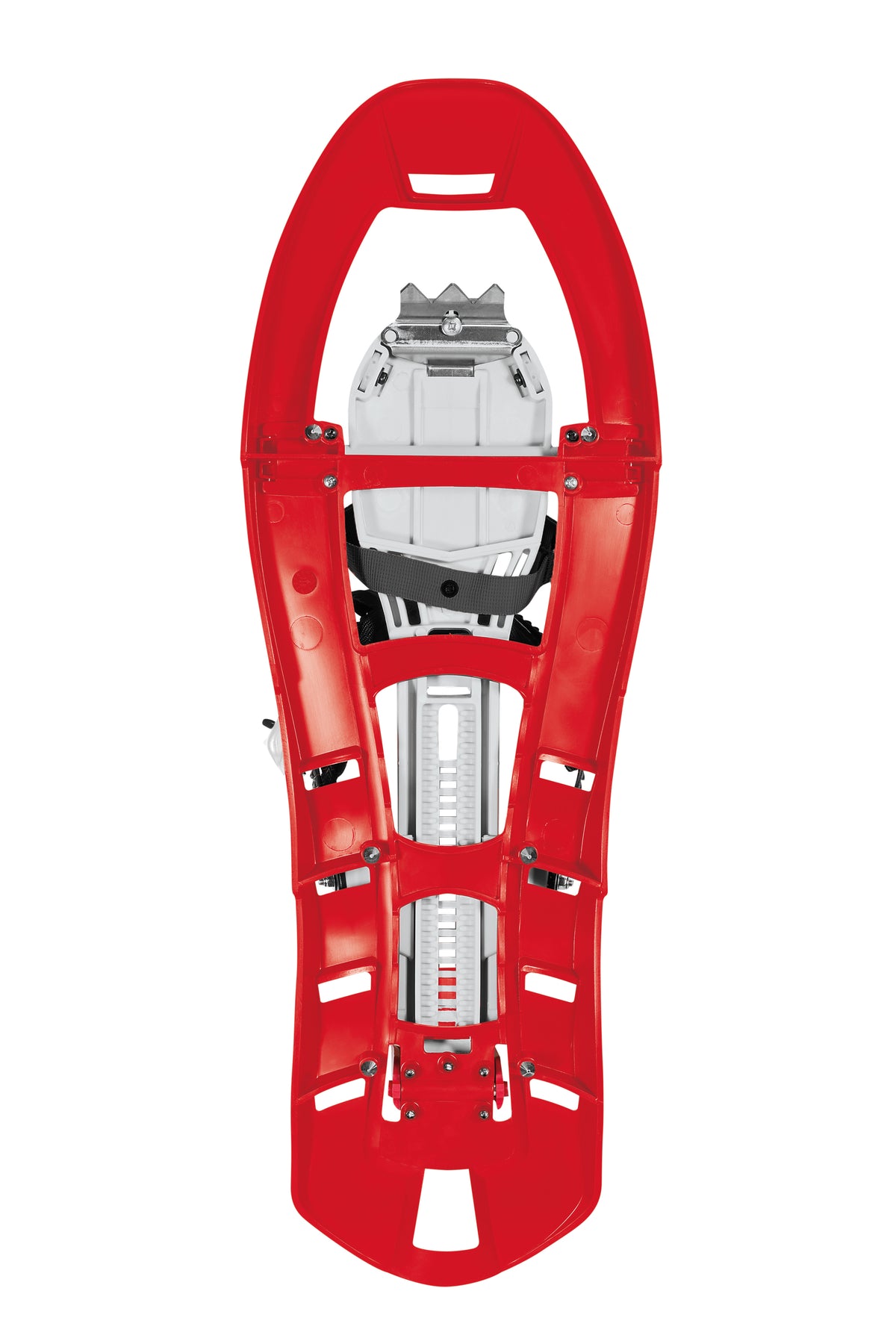 Snowshoes Pinter Special Raquetas Nieve Ferrino